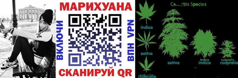 Шишки марихуана марихуана  Купить закладки  Лянтор 